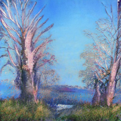 tranquillity: 19